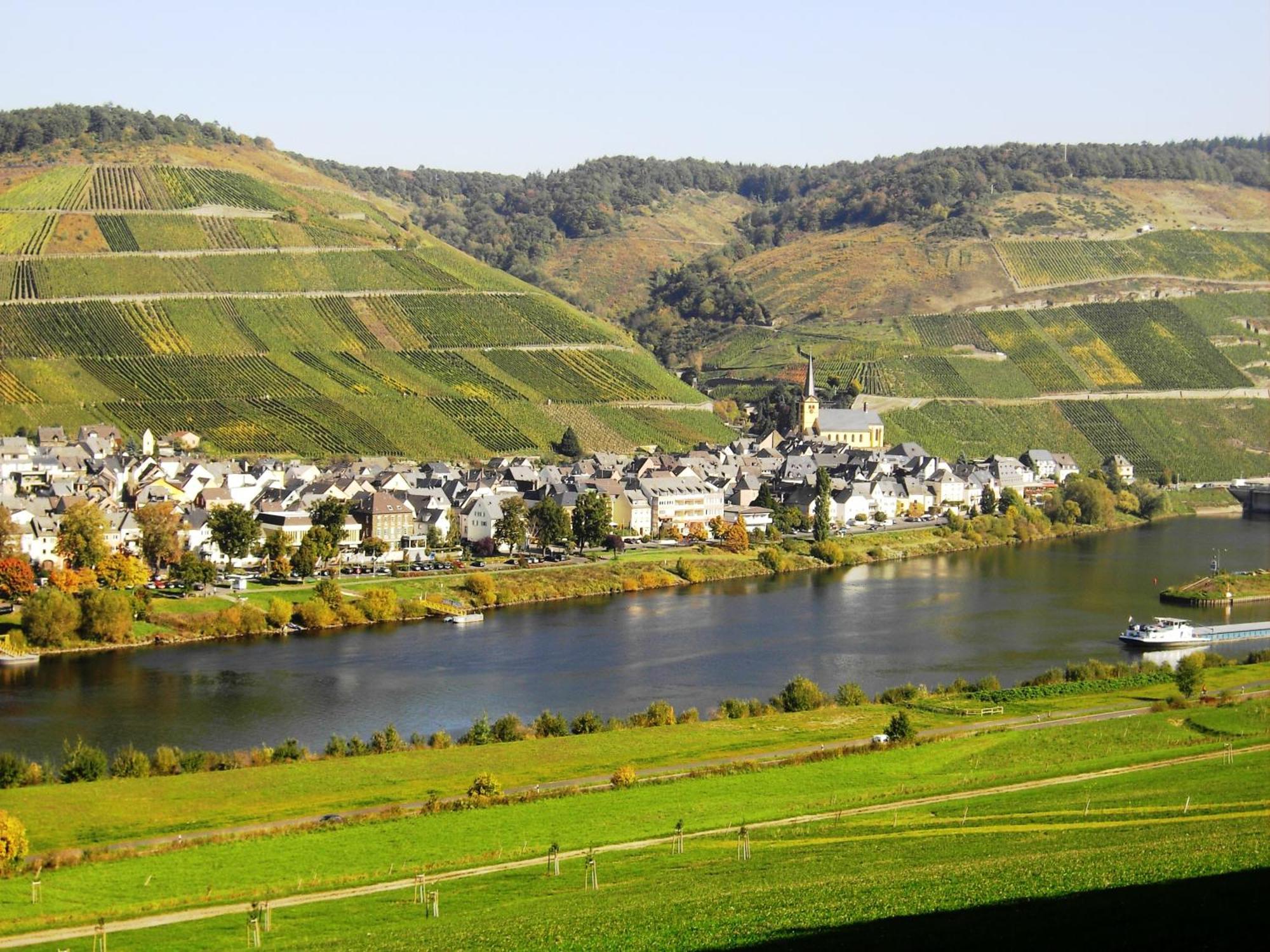 Weinstube Pension Moselbluemchen Zeltingen-Rachtig Luaran gambar