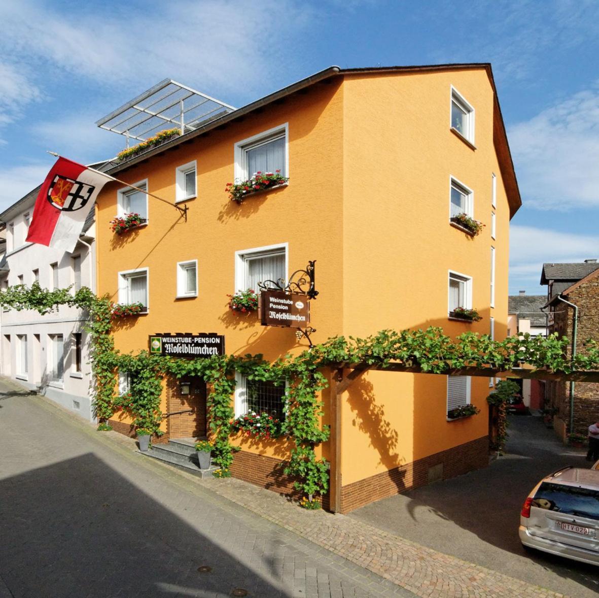 Weinstube Pension Moselbluemchen Zeltingen-Rachtig Luaran gambar