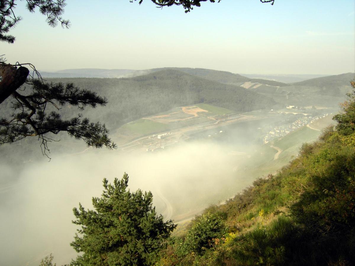 Weinstube Pension Moselbluemchen Zeltingen-Rachtig Luaran gambar